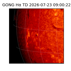 gong - 2026-07-23T09:00:22