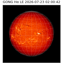 gong - 2026-07-23T02:00:42