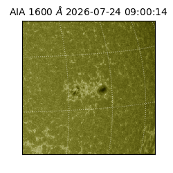 saia - 2026-07-24T09:00:14.123000