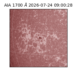saia - 2026-07-24T09:00:28.716000