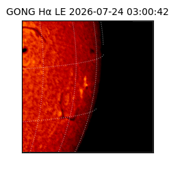 gong - 2026-07-24T03:00:42