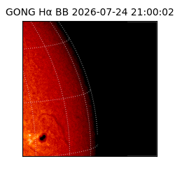 gong - 2026-07-24T21:00:02