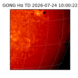 gong - 2026-07-24T10:00:22