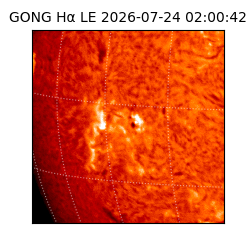 gong - 2026-07-24T02:00:42