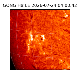 gong - 2026-07-24T04:00:42