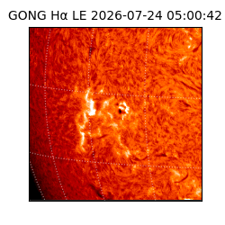 gong - 2026-07-24T05:00:42