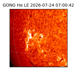 gong - 2026-07-24T07:00:42