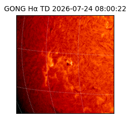 gong - 2026-07-24T08:00:22