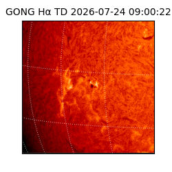 gong - 2026-07-24T09:00:22