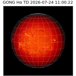 gong - 2026-07-24T11:00:22