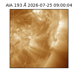 saia - 2026-07-25T09:00:04.842000