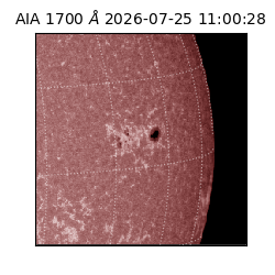 saia - 2026-07-25T11:00:28.719000