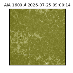 saia - 2026-07-25T09:00:14.122000
