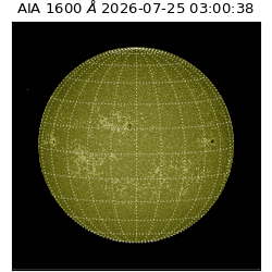 saia - 2026-07-25T03:00:38.123000
