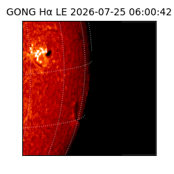 gong - 2026-07-25T06:00:42