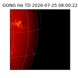 gong - 2026-07-25T08:00:22