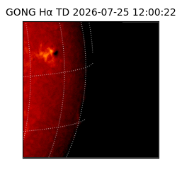 gong - 2026-07-25T12:00:22