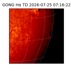 gong - 2026-07-25T07:16:22