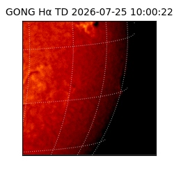 gong - 2026-07-25T10:00:22