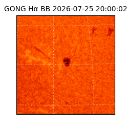 gong - 2026-07-25T20:00:02