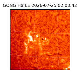 gong - 2026-07-25T02:00:42