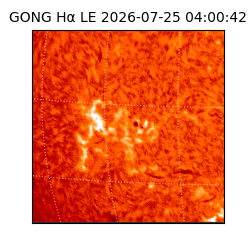 gong - 2026-07-25T04:00:42