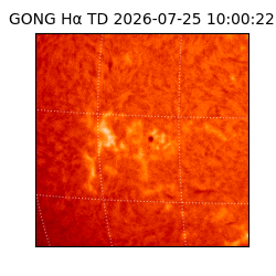 gong - 2026-07-25T10:00:22
