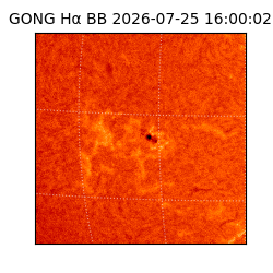 gong - 2026-07-25T16:00:02