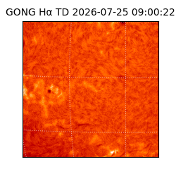 gong - 2026-07-25T09:00:22