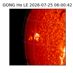 gong - 2026-07-25T06:00:42