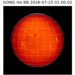 gong - 2026-07-25T01:00:02