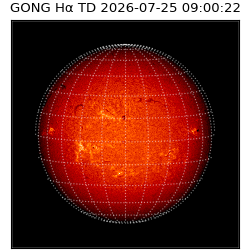 gong - 2026-07-25T09:00:22