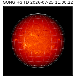 gong - 2026-07-25T11:00:22