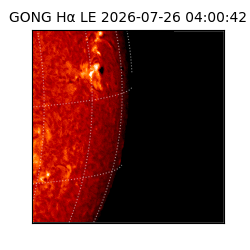 gong - 2026-07-26T04:00:42