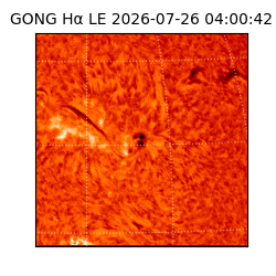 gong - 2026-07-26T04:00:42