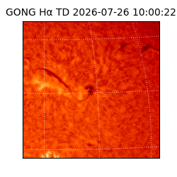 gong - 2026-07-26T10:00:22