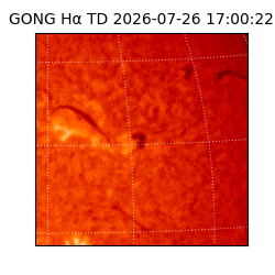gong - 2026-07-26T17:00:22