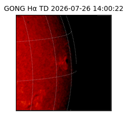 gong - 2026-07-26T14:00:22