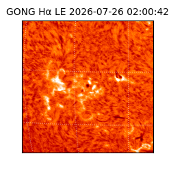 gong - 2026-07-26T02:00:42