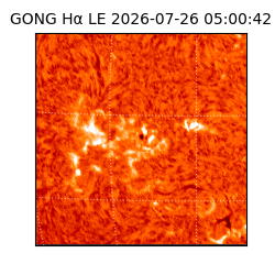 gong - 2026-07-26T05:00:42