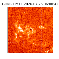 gong - 2026-07-26T06:00:42