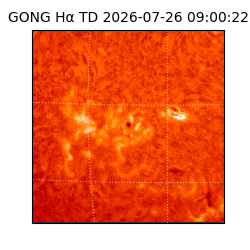 gong - 2026-07-26T09:00:22