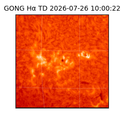 gong - 2026-07-26T10:00:22