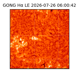 gong - 2026-07-26T06:00:42