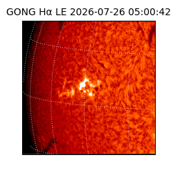 gong - 2026-07-26T05:00:42