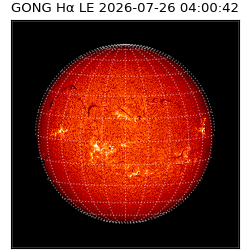 gong - 2026-07-26T04:00:42