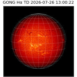 gong - 2026-07-26T13:00:22