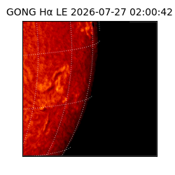 gong - 2026-07-27T02:00:42