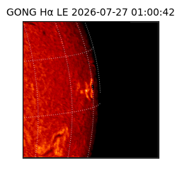 gong - 2026-07-27T01:00:42