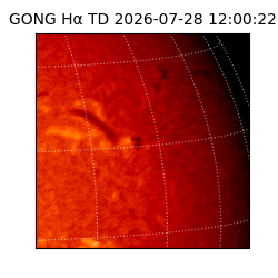 gong - 2026-07-28T12:00:22